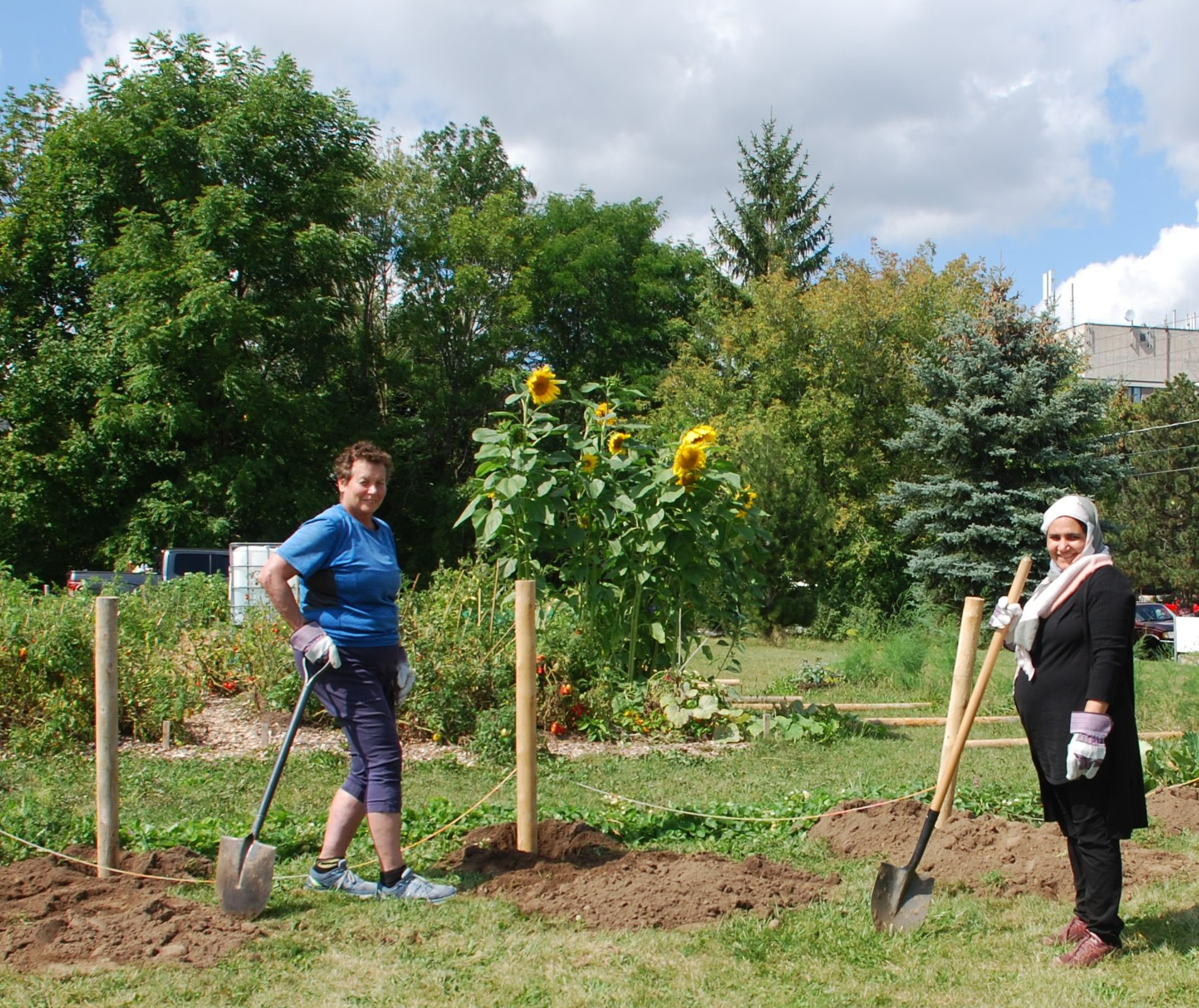 Gardeners at work in the West Willow Co-op community garden which GCF has helped to fund