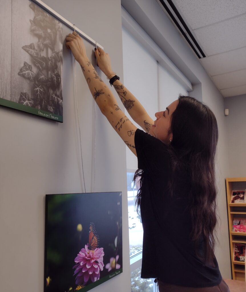 Individual adjusting a butterfly-themed picture above another floral butterfly image in a softly lit room.