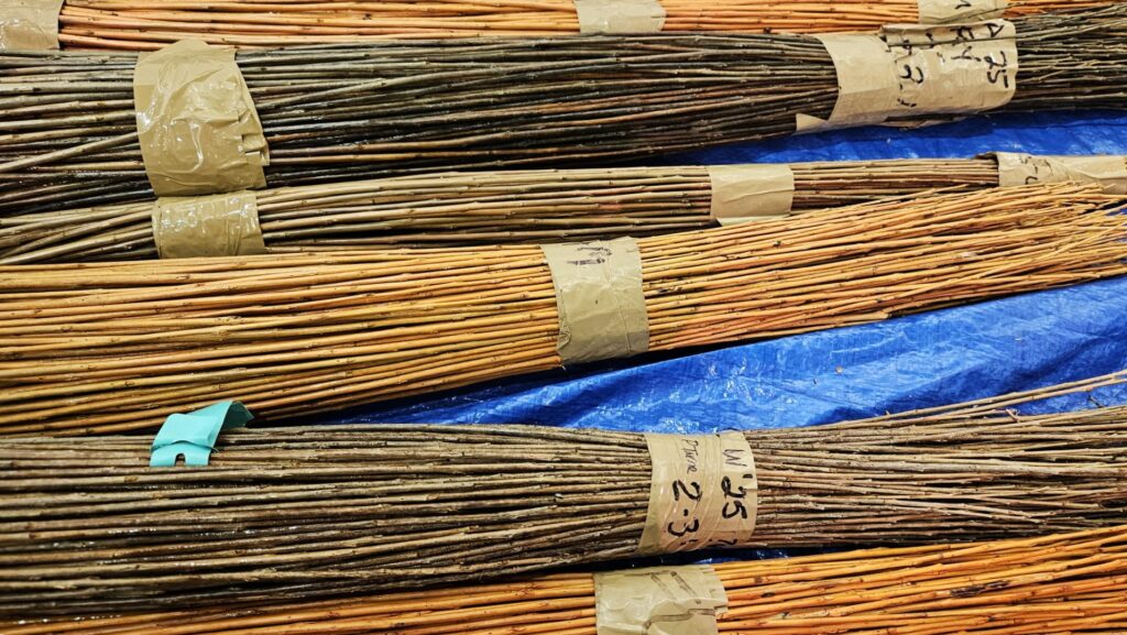 Neatly bundled sticks of varying shades, fastened with masking tape, placed on a blue tarp surface. Materials for basket weaving.