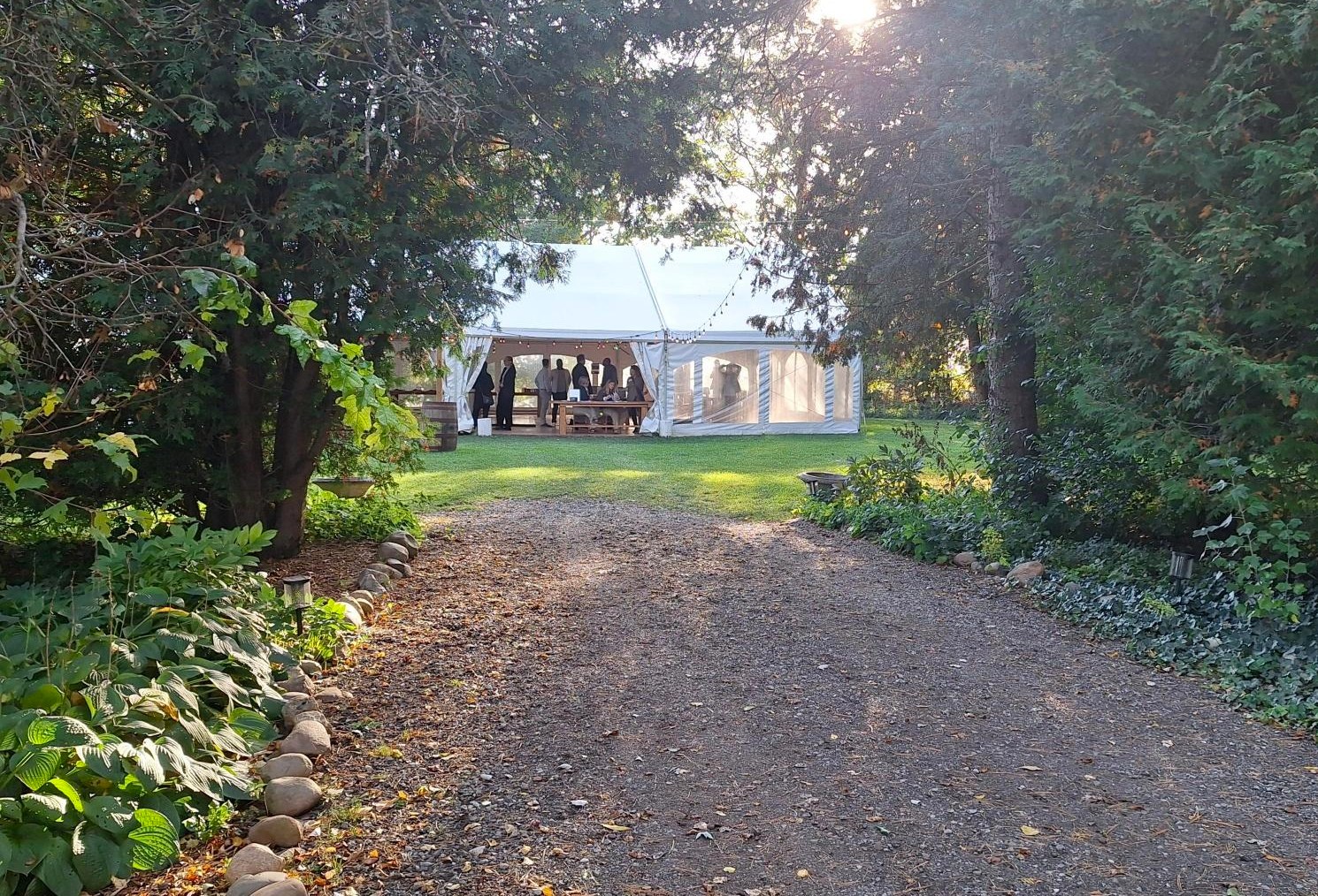 Gravel path leading through lush greenery to a white event tent with people gathered inside on a sunny day.
